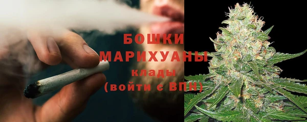 ПСИЛОЦИБИНОВЫЕ ГРИБЫ Лагань