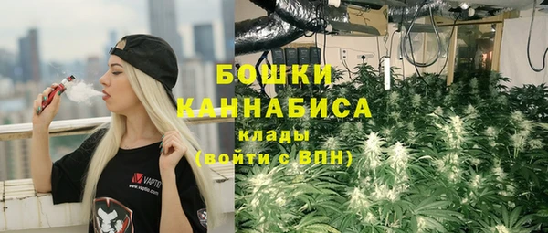 ПСИЛОЦИБИНОВЫЕ ГРИБЫ Лагань