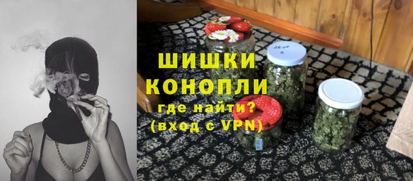 ПСИЛОЦИБИНОВЫЕ ГРИБЫ Лагань