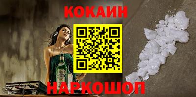 индика Камышлов