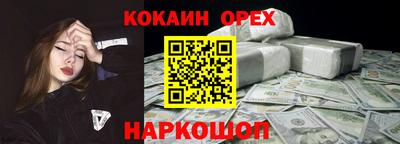 индика Камышлов
