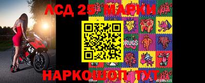 индика Камышлов