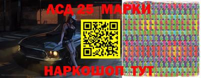 индика Камышлов