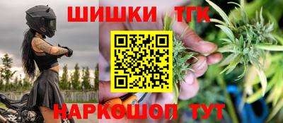 индика Камышлов