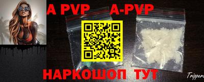 индика Камышлов