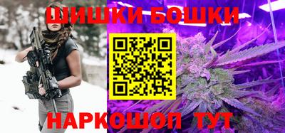 индика Камышлов