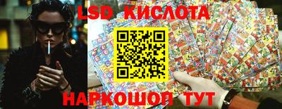 индика Камышлов