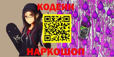 индика Камышлов