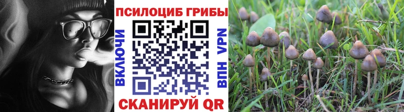 Галлюциногенные грибы Psilocybine cubensis  Мичуринск 
