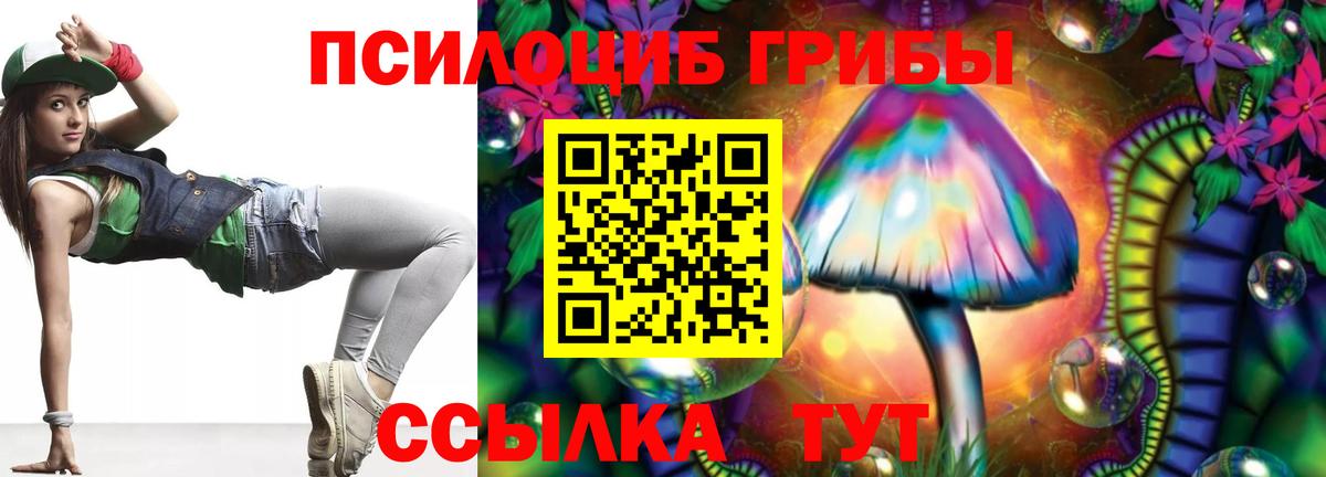 Галлюциногенные грибы Cubensis  Вход с VPN  Псилоцибиновые грибы Psilocybe  Мичуринск 